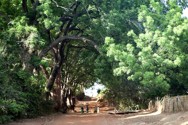 Guinée-Bissau
