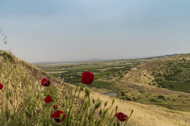 République Arabe Syrienne